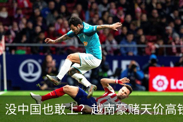 没中国也敢上？越南豪赌天价高铁，铃木押印度提速，都在抢“快”