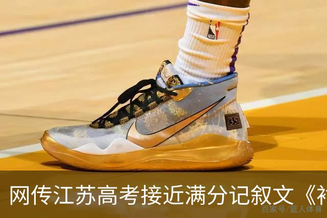 网传江苏高考接近满分记叙文《衬衫的价格为 9 镑 15 便士》火了